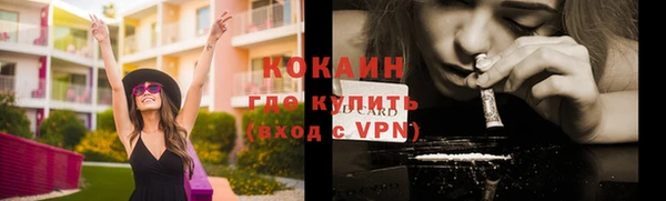 индика Армянск