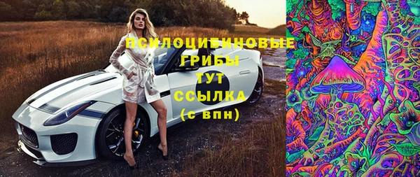 сатива Балахна