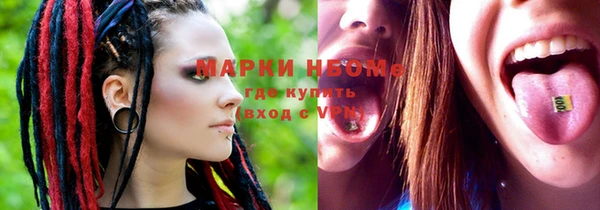 индика Армянск