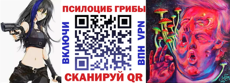 Псилоцибиновые грибы мицелий  Ладушкин 